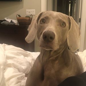 Meet your Posher, Kristen